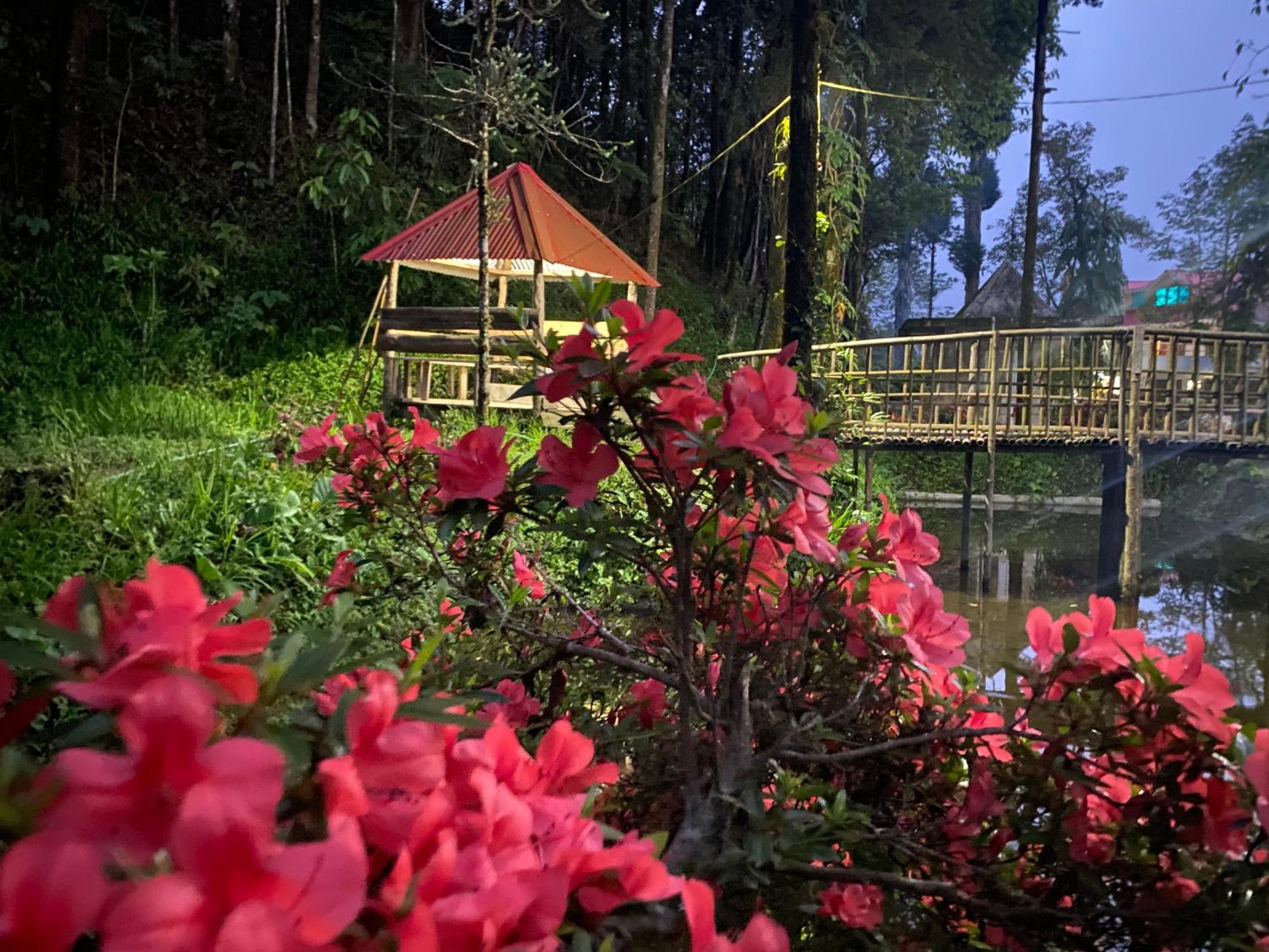 Bloomfield Farmhouse And Eco-Resort ดาร์จีลิง ภายนอก รูปภาพ